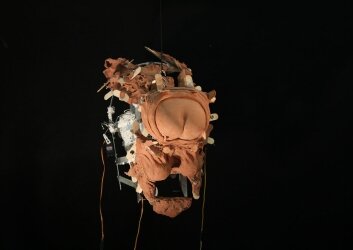 6_-_גיא_בר-אמוץ,_דיקהדס_(פרט),_2022