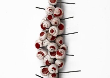 Copy_of_Dania_Chelminsky_Snailing_boosh_4_2024_Ran_Erde