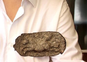 Copy_of_נאוה-אבנית_נאוה-אבנית3