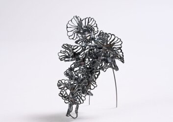 Copy_of_עותק_של_יסמין_זהבי_שי_בן_אפרים