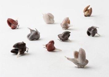 Copy_of_עינת_לידר_ליאת_אלבלינג