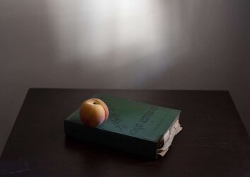 DSC_1025-kמ1-scaled