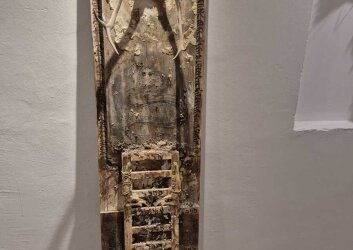 motion_photo_2477904577464767762