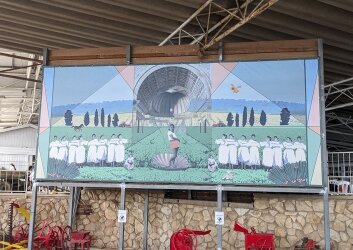 PXL_20240529_095718493