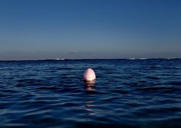 Sharon_Balaban_Afloat_2026_web