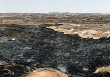 אוהד_מטלון,_ביתרונות_בארי,_2019