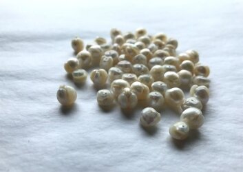 אופיר_הללי_אופיר_הללי.2