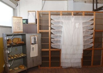 טלי_בלומנאו_ורקפת_שחר_קריס_חיטה_מקומית_צילום_בועז_לניר