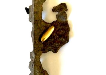 יעל_אוליאל_יעל_אוליאל