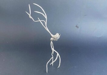 יפית_בן_משולם_(2)