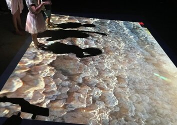 מתוך_דונם_1_-_איריס_ברנע,_נטועה,_2018_,וידיאו-_צילום_איריס_ברנע