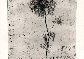 נורית_גור_לביא_קרני_פלורה_פלשתינה_2013_