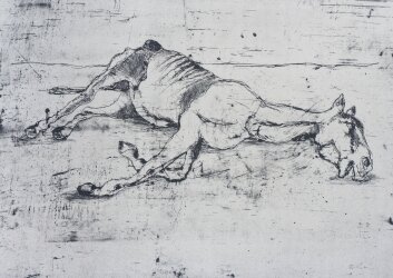 סוס,_2021,_תצריב