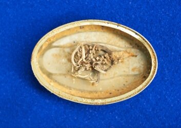 שני_אביבי,_יד_הבתולה,_וידאו,_2022