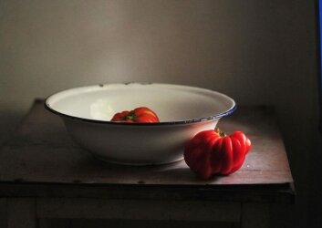 תמונה-של-WhatsApp_-2023-07-11-בשעה-14.21.03