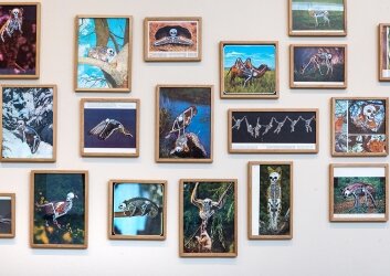 תמר_לב_און,_קיר_קולאז_ים,_צילום_יגאל_פרדו