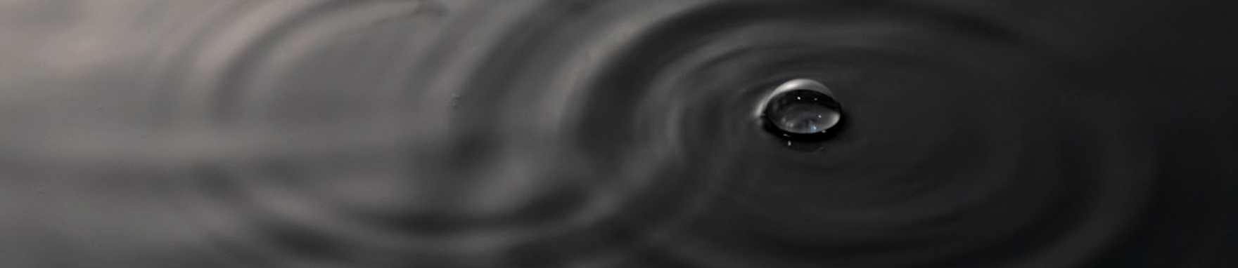 אדוות_2021_באנר