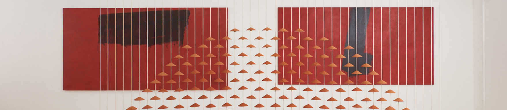 ארחי_פרחי_2020_באנר