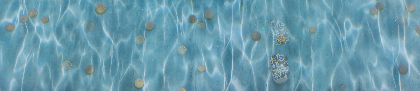 באר_המשאלות_2024_באנר