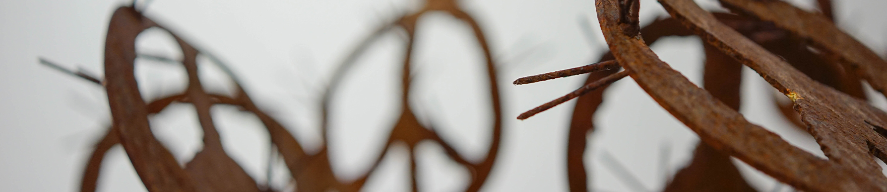 האם_יש_פרחים_2024_באנר