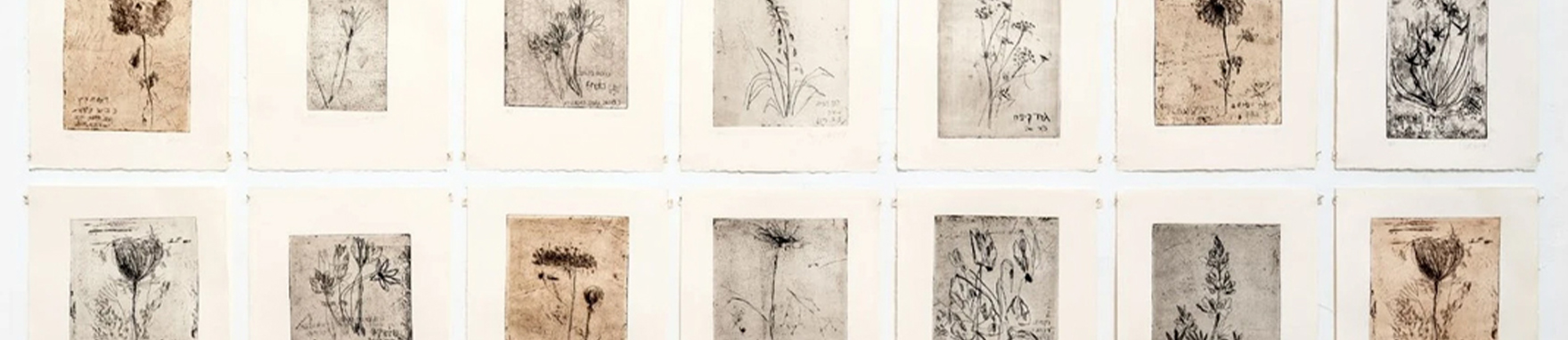 מגילות_ואינוונטרים_2023_באנר