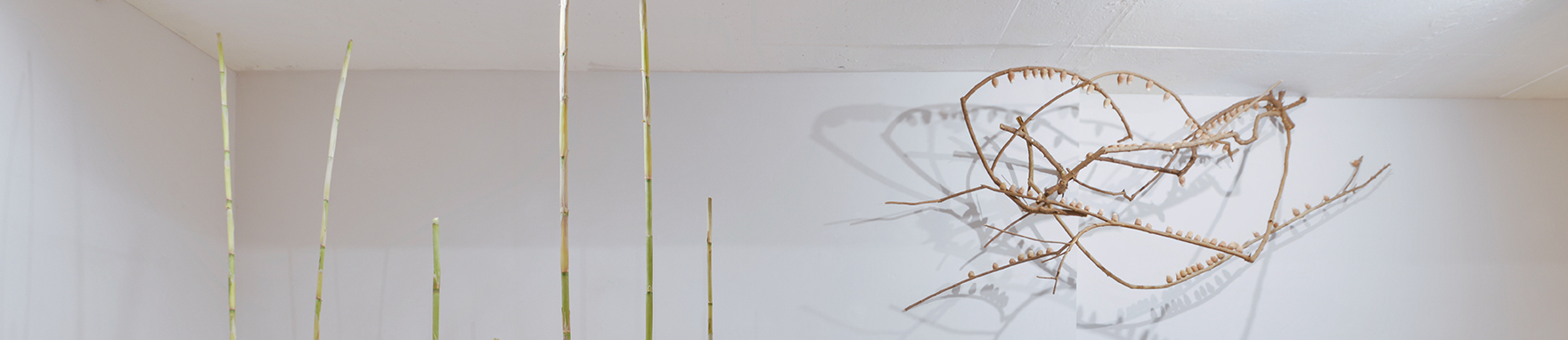 מנחת_סולת_2022_באנר2