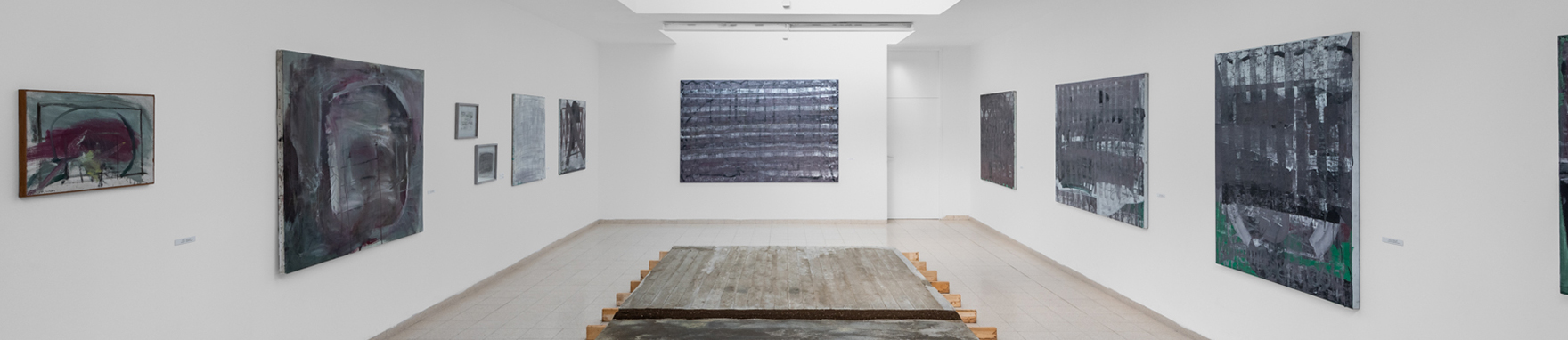 פעולת_שכבה_2020_באנר