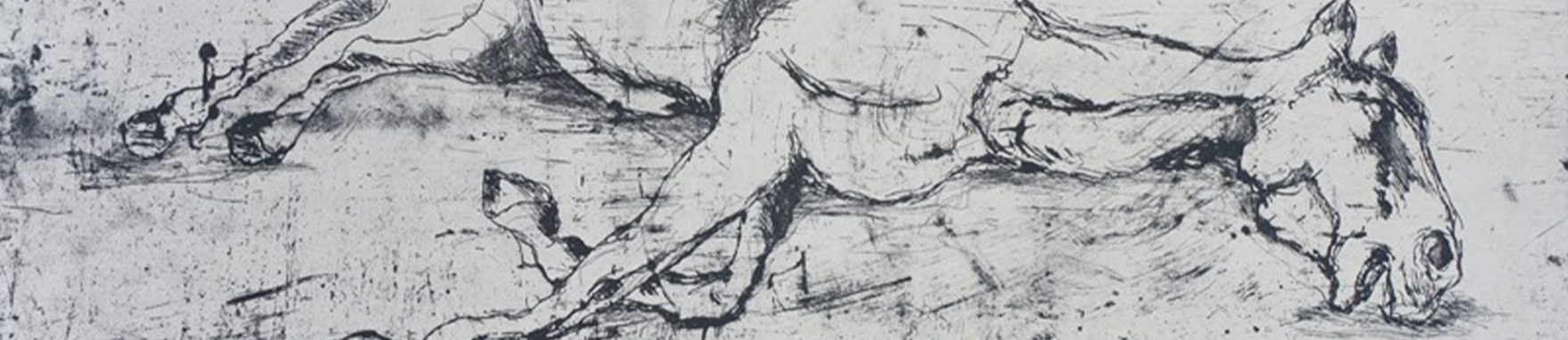 פרחים_לאחר_קציר_2022_באנר