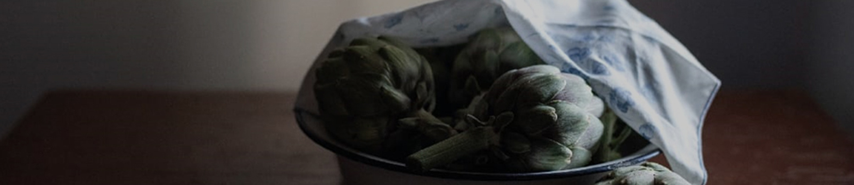 צל_של_ציפור_חולפת_2023_באנר